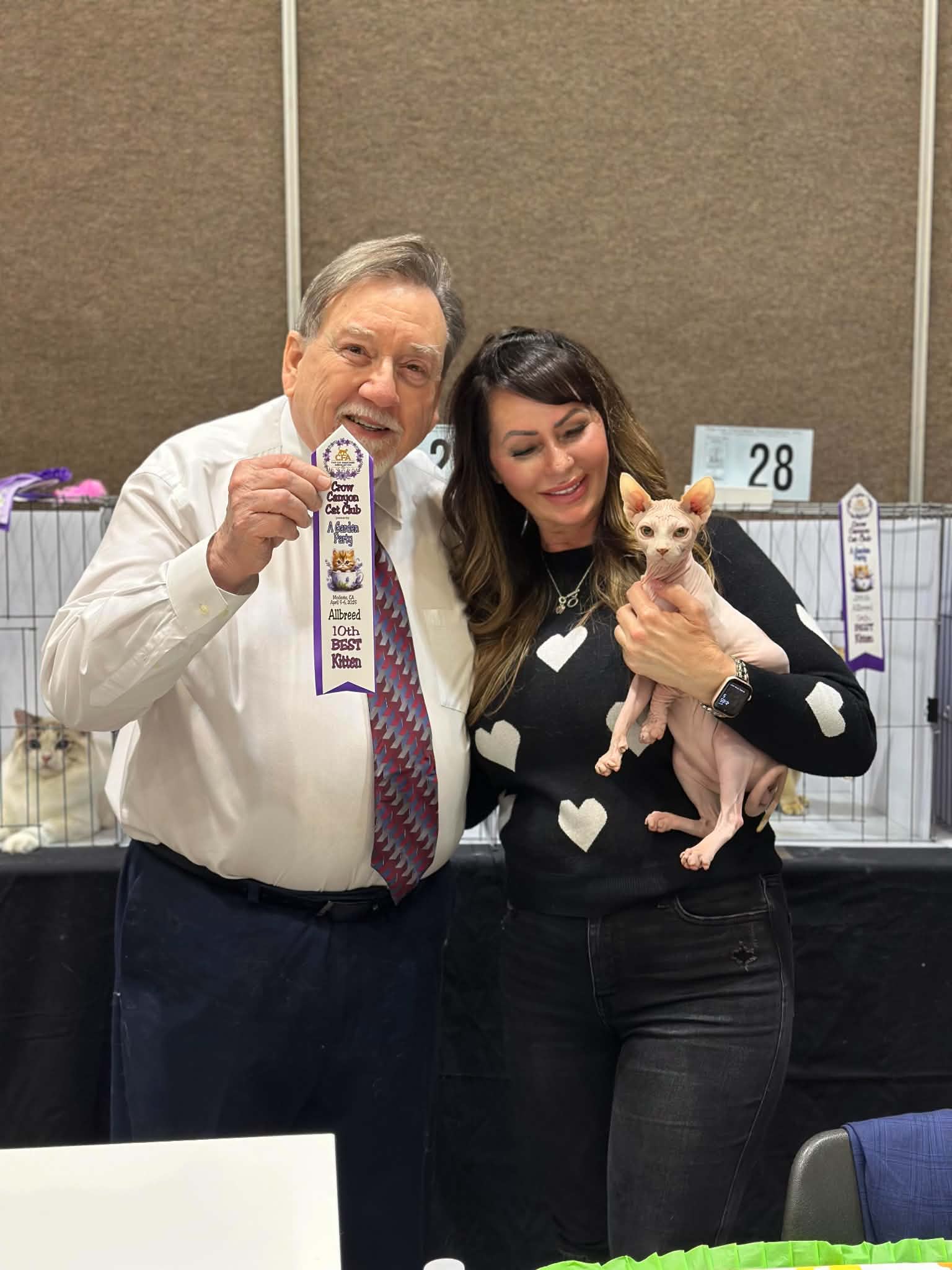 BareDezyne Sphynx — 6th Best Kitten, Crow Canyon Cat Club, April 2025