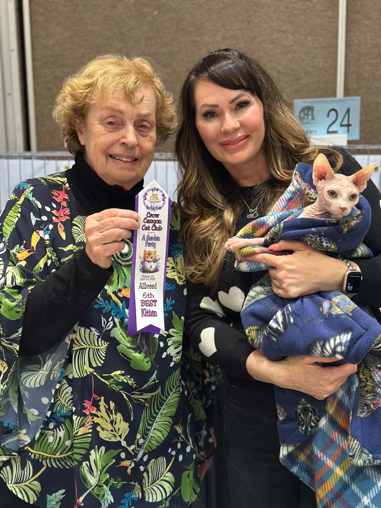 BareDezyne Sphynx — 10th Best Kitten, Crow Canyon Cat Club, April 2025