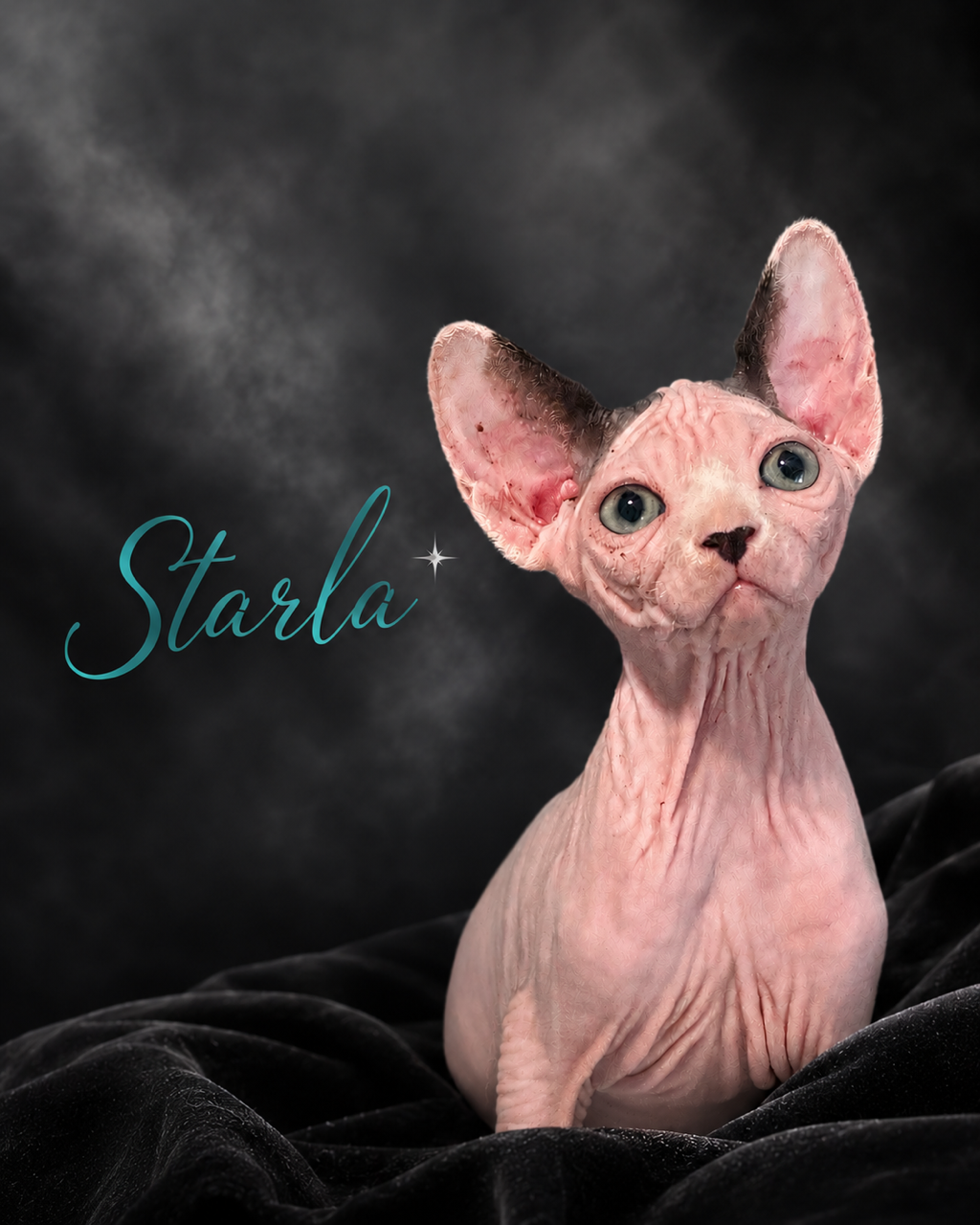 Starla